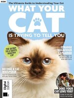 What Your Cat Is Trying To Tell You (Third Edition)